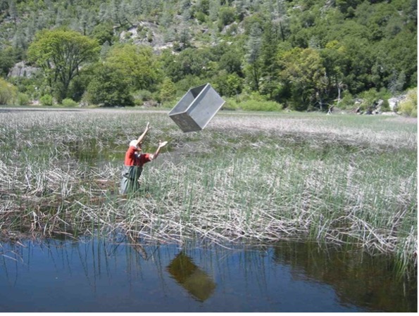 a throw trap toss in a river-flooded pond