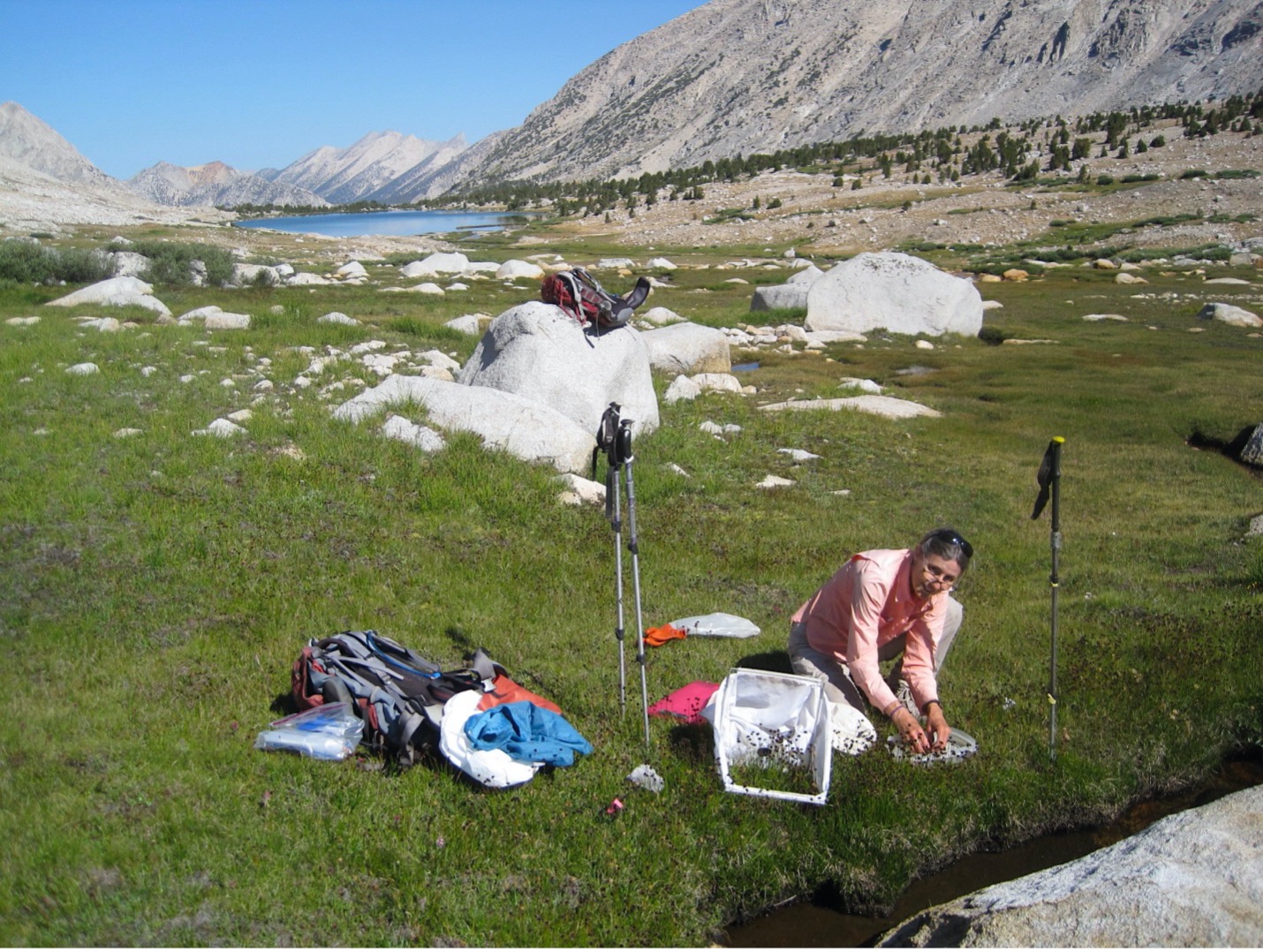 Jutta Schmidt collects a sample in an alpine basin in the Sierra Nevada